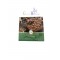 Milk Chocolate With Hazelnuts ~ Superior Quality Milk Chocolate Milk Chocolate With Hazelnuts ~ Superior Quality Milk Chocolate