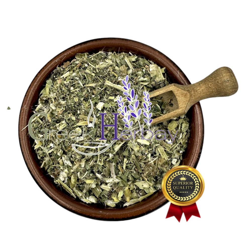 Milk Thistle Leaves & Flowers ~ Silybum Μarianum ~ Superior Quality