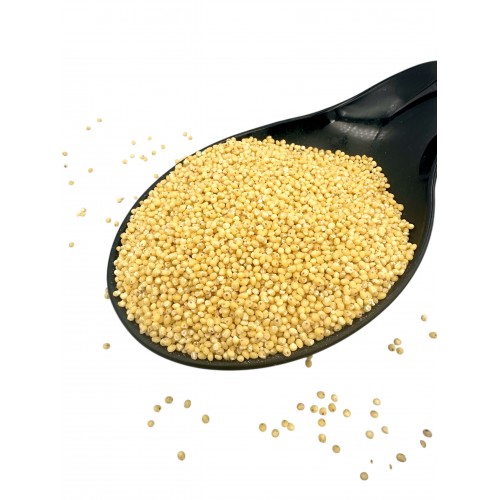 Millet Grain Whole Seeds Golden Pearls ~ Superior Quality ~