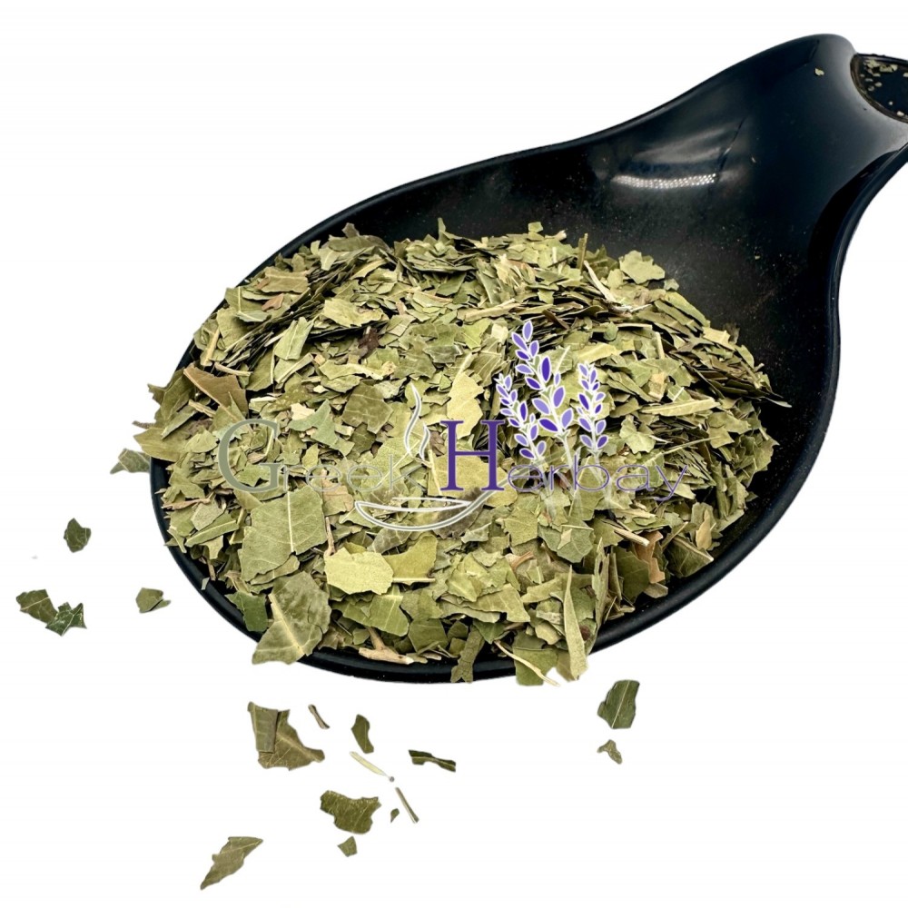 Neem Dried Cut Leaf Loose Leaves Herbal Tea ~ Azadirachtae Idica ~ Superior Quality