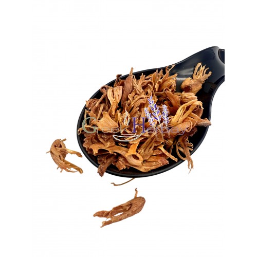 Dried Nutmeg Flowers ~ Μyristica fragrans ~ Superior Quality 