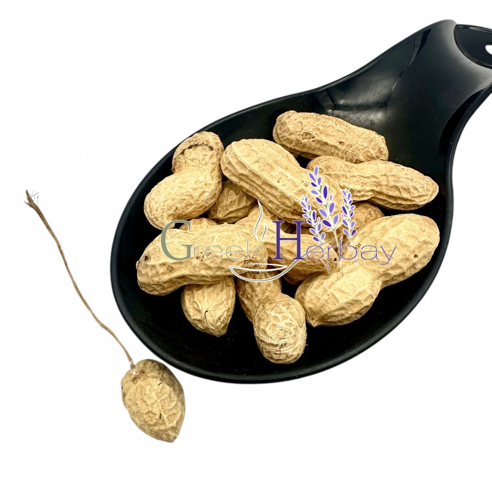 Whole Peanuts (Shelled) Unsalted & Roasted ~ Superior Quality