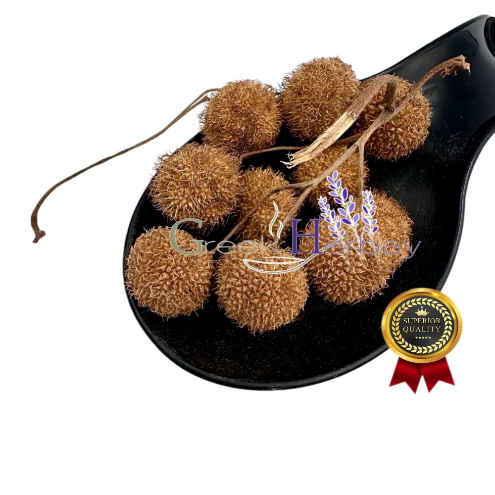 Dried Whole Plane Tree Seeds ~ Platanus orientalis ~ Superior Quality
