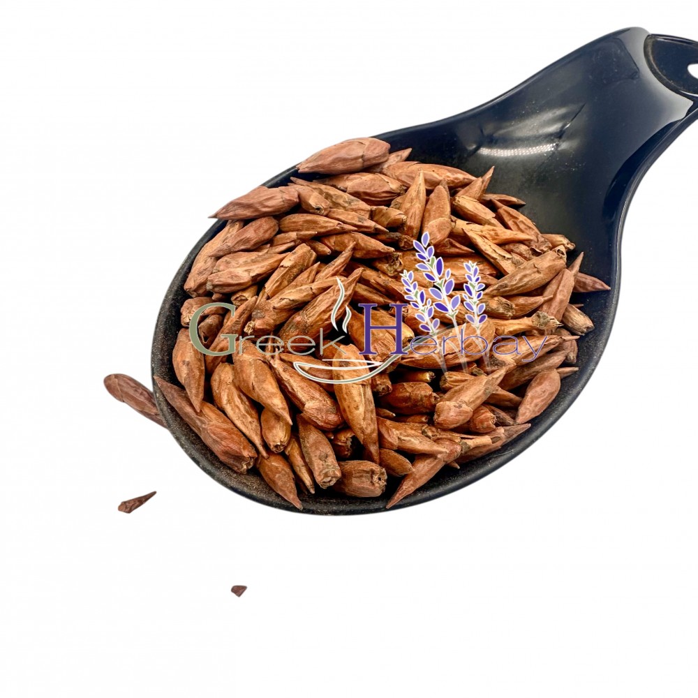 Poplar Dried Whole Buds ~ Populus nigra ~ Superior Quality