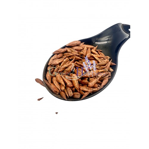 Poplar Dried Whole Buds ~ Populus nigra ~ Superior Quality