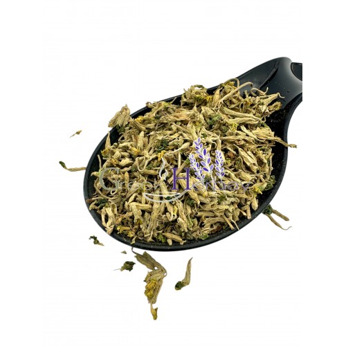 Cowslip Flower ~ Primula Veris ~ Superior Quality 