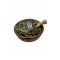 Raw Pumpkin Seeds ~ Cucurbita Pepo ~ (Omega-3) 