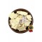Raw Quasia Bitter Wood Chips ~ Quassia Amara - Superior Quality