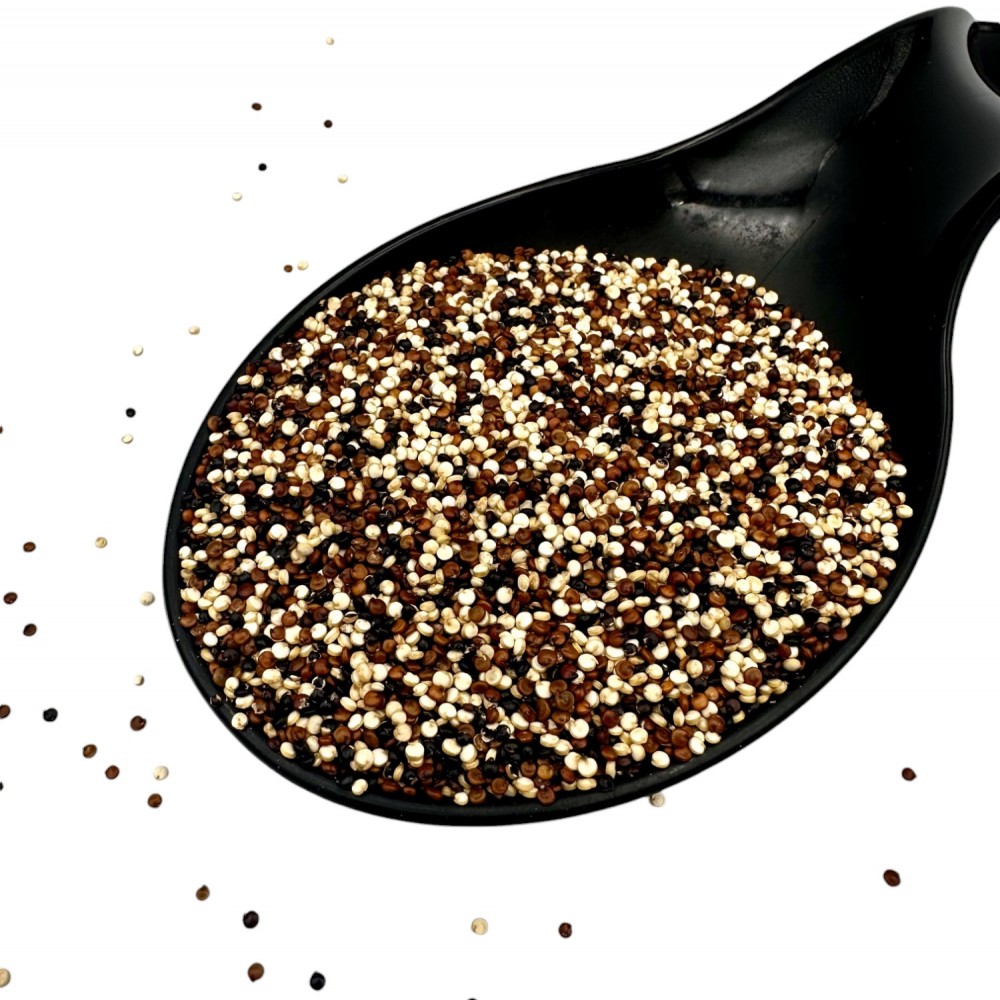 Tricolor Quinoa Seeds ~ Chenopodium Quinoa ~ Superior Quality Tricolor Quinoa Seeds ~ Chenopodium Quinoa ~ Superior Quality