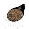 Tricolor Quinoa Seeds ~ Chenopodium Quinoa ~ Superior Quality Tricolor Quinoa Seeds ~ Chenopodium Quinoa ~ Superior Quality