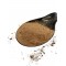 Rhodiola Root Extract Powder ~ Rhodiola Rosea ~ Superior Quality Rhodiola Root Extract Powder ~ Rhodiola Rosea ~ Superior Quality