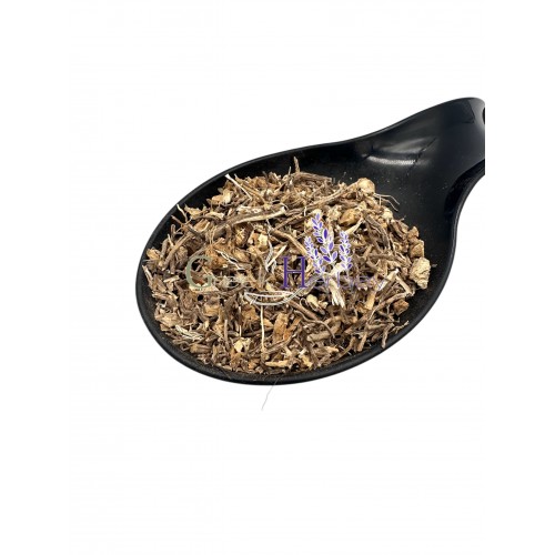 Butcher's Broom Cut Root ~ Ruscus Aculeatus ~ Superior Quality