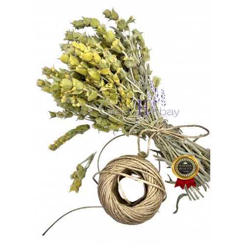 Greek Mountain Tea ~ Sideritis Raeseri ~ Superior Quality  Greek Mountain Tea ~ Sideritis Raeseri ~ Superior Quality