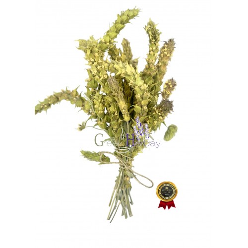 Greek Olympus Mountain Tea Whole Bunch ~ Sideritis Scardica ~ Superior Quality  Greek Olympus Mountain Tea Whole Bunch ~ Sideritis Scardica ~ Superior Quality
