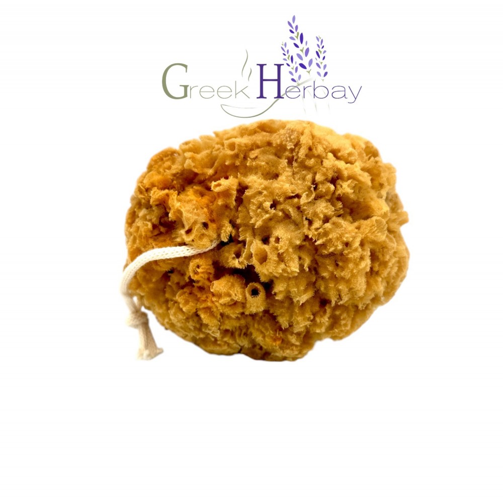 Natural Dried Greek Unbleached Honeycomb Sea Sponge 5.0"-5.50" inches(12-14cm) - Kalymnos Bath Shower Mediterranean| Superior Quality