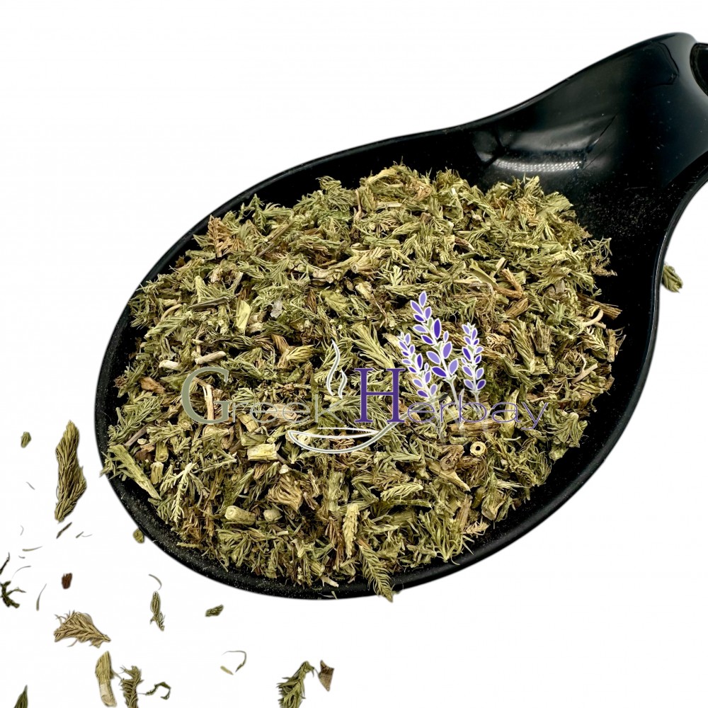 Stag's - Horn Club Moss Dried Cut Leaves ~ Lycopodium Clavatum ~ Superior Quality 