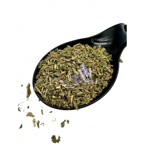 Stag's - Horn Club Moss Dried Cut Leaves ~ Lycopodium Clavatum ~ Superior Quality 