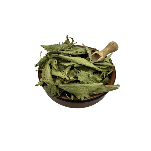 Dried Stevia Leaves ~ Stevia Rebaudiana ~ Superior Quality 
