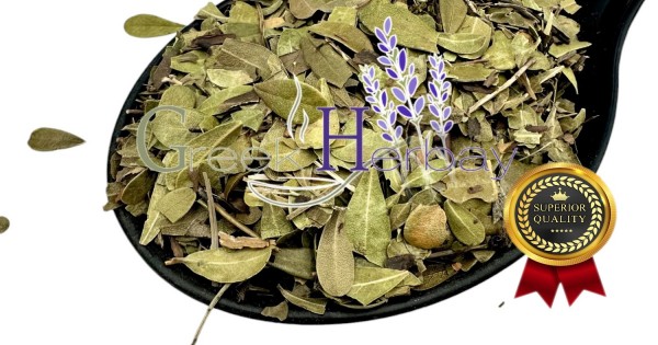 Bearberry (Uva Ursi) Dried Loose Leaf Herbal Tea - 25g To 200g, Caffeine Free
