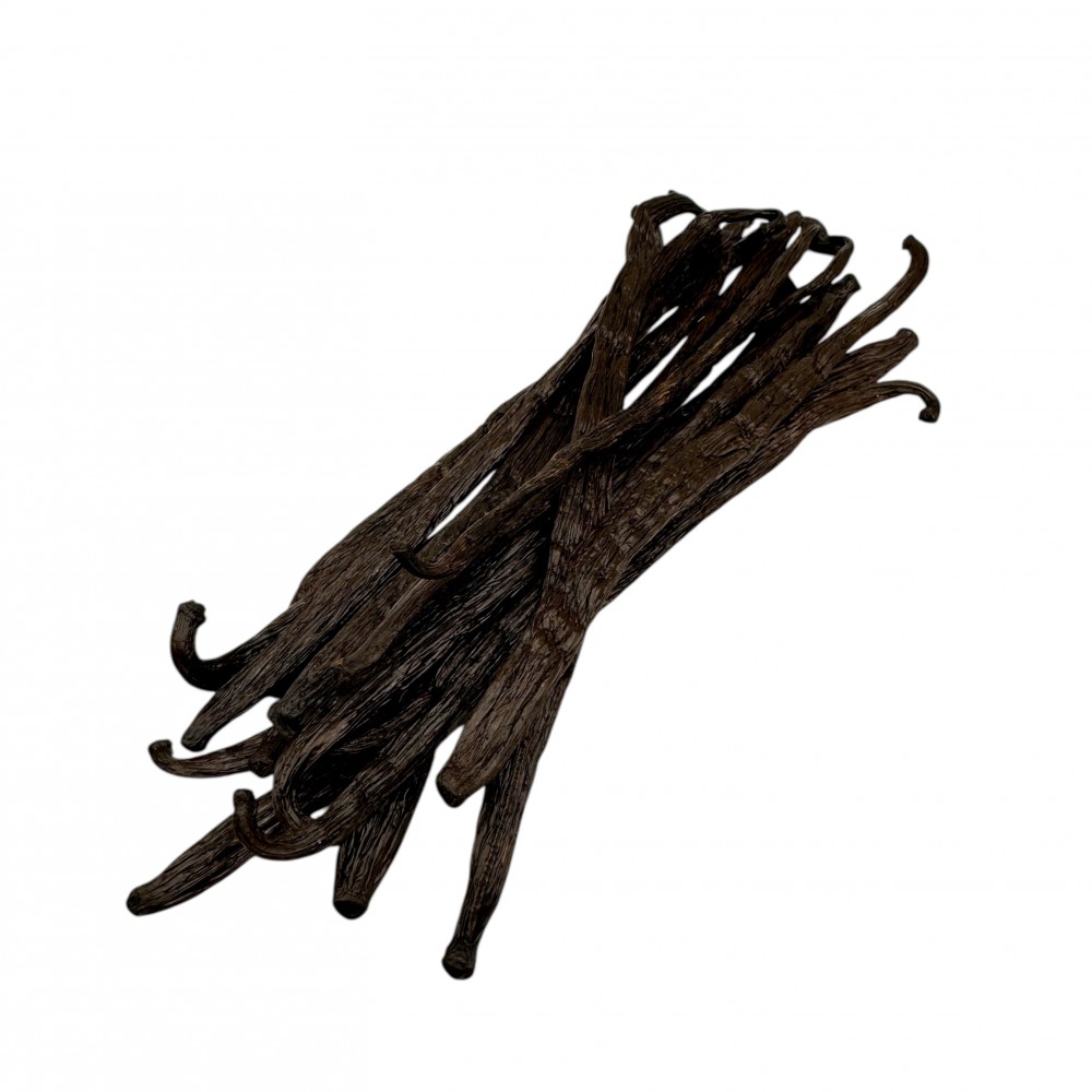 Madagascar Bourbon Vanilla Pods Beans 17-19cm ~ Superior Quality ~
