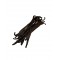 Madagascar Bourbon Vanilla Pods Beans 17-19cm ~ Superior Quality ~