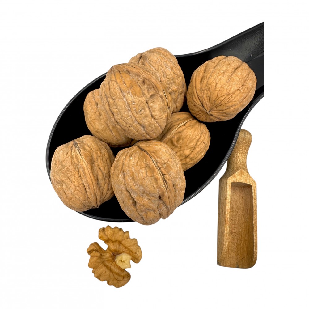Walnuts Kernels Whole Nuts Shelled ~ Juglans regia L. ~ Superior Quality Nuts