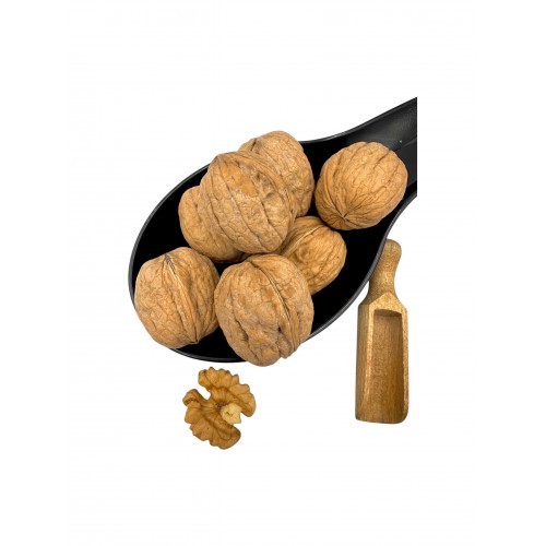 Walnuts Kernels Whole Nuts Shelled ~ Juglans regia L. ~ Superior Quality Nuts