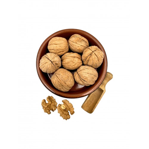 Walnuts Kernels Whole Nuts Shelled ~ Juglans regia L. ~ Superior Quality Nuts
