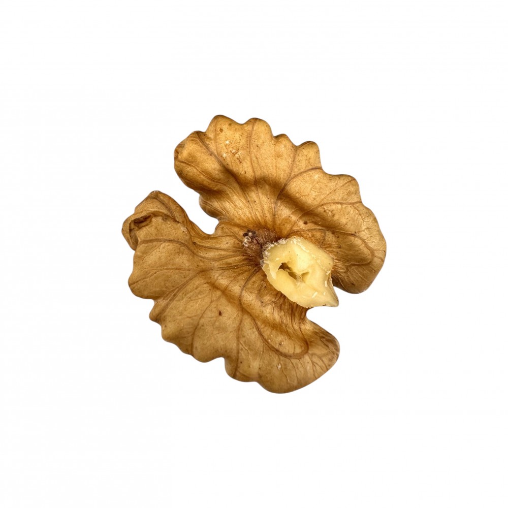 Walnuts Kernels Whole Nuts Shelled ~ Juglans regia L. ~ Superior Quality Nuts