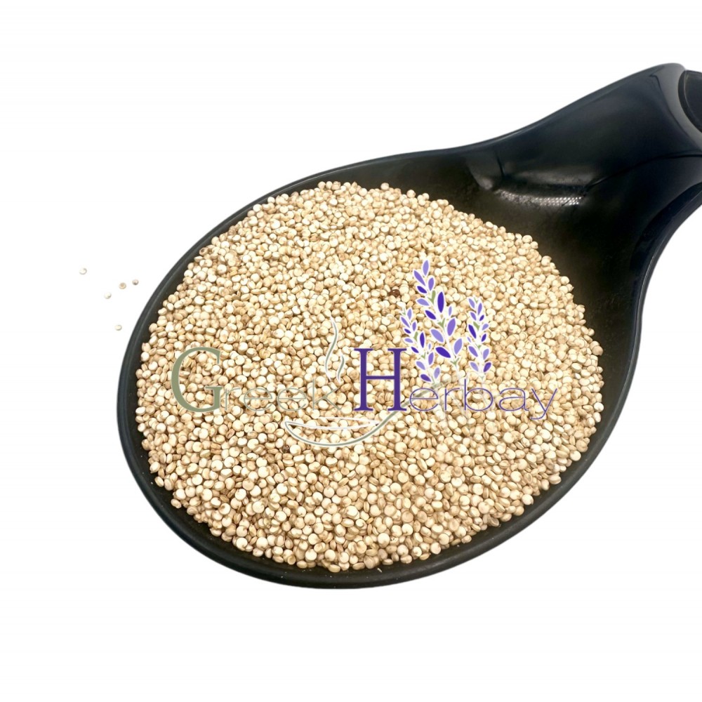 White Quinoa Whole Seeds ~ Chenopodium Quinoa ~ Superior Quality