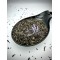 Green Chinese Tea Gunpowder Loose Cut Leaf Tea -  Camellia Sinensis - Superior Quality Herbs&Tea