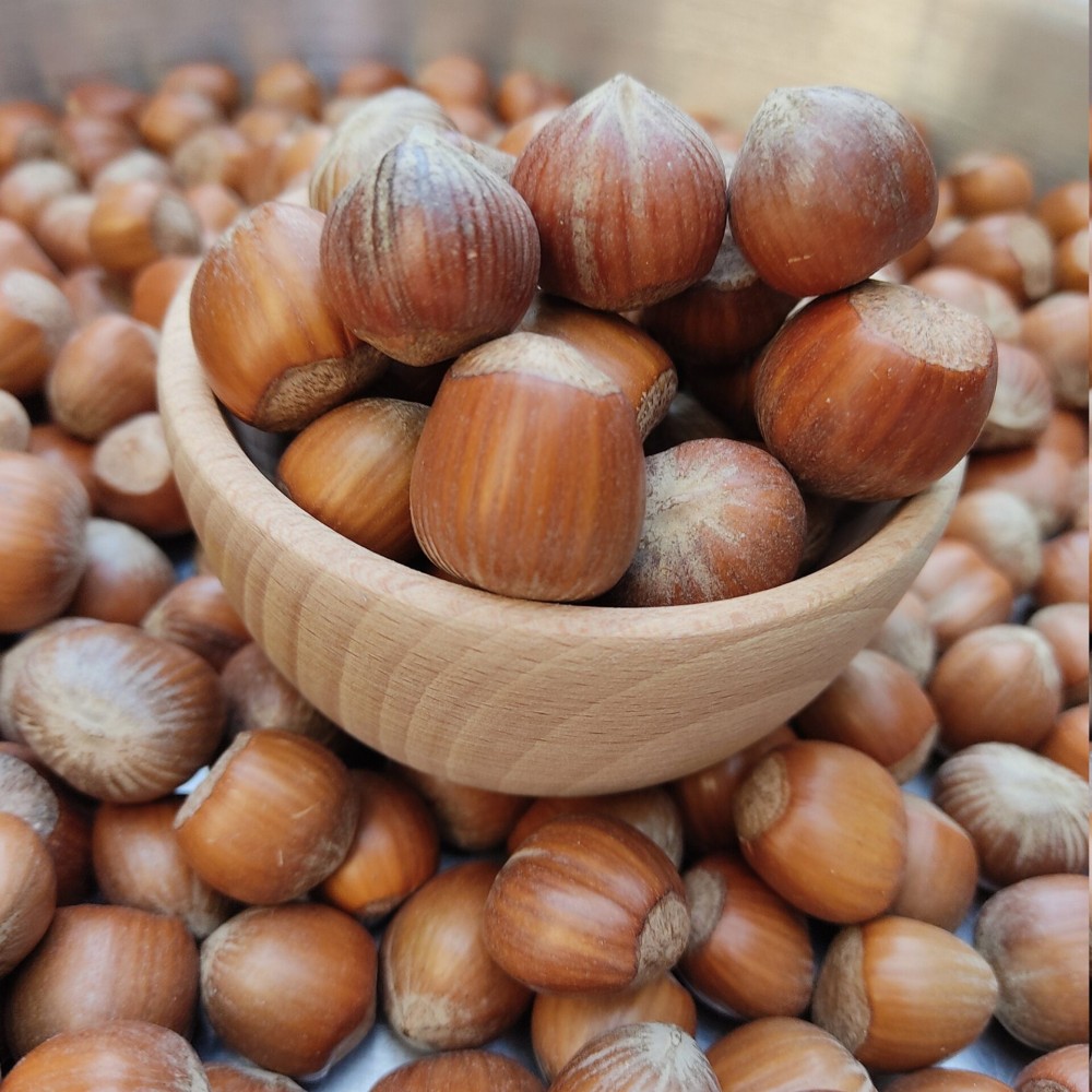 100% Raw Whole Hazelnut in Shell (Corylus Colurna)Superior Quality Fresh-Natural Seeds /Superfood-Nuts/ Herbs-Spices