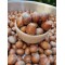 100% Raw Whole Hazelnut in Shell (Corylus Colurna)Superior Quality Fresh-Natural Seeds /Superfood-Nuts/ Herbs-Spices