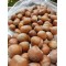 100% Raw Whole Hazelnut in Shell (Corylus Colurna)Superior Quality Fresh-Natural Seeds /Superfood-Nuts/ Herbs-Spices