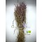 100% Organic Greek Dried Pennyroyal Mint Bunch 40gr - 2kg Mentha Pulegium - Superior Quality Bunch&Stems{Certified Bio Product}