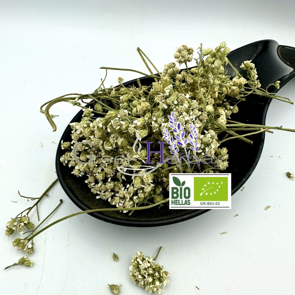 100% Organic Greek Yarrow Dried Flowers Loose Herbal Tea - Achillea Millefolium -Superior Quality Herbs&Dried Flowers{Certified Bio Product}