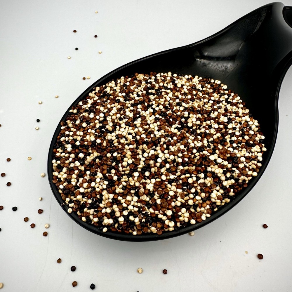 100% Organic Tricolor Quinoa Seeds - Chenopodium Quinoa - Superfood High Protein Quinoa Grain Seed {Certified Bio Product}