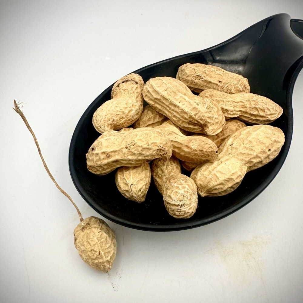 Raw Whole Peanuts (Shelled) Unsalted & Roasted - Superior Quality