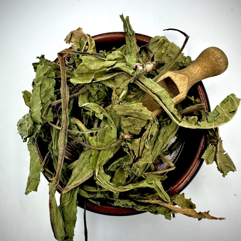 Dandelion Leaves Leaf Loose Herbal Tea - Taraxacum - Superior Quality Herbs&Spices