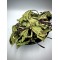 Dandelion Leaves Leaf Loose Herbal Tea - Taraxacum - Superior Quality Herbs&Spices