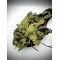 Dandelion Leaves Leaf Loose Herbal Tea - Taraxacum - Superior Quality Herbs&Spices