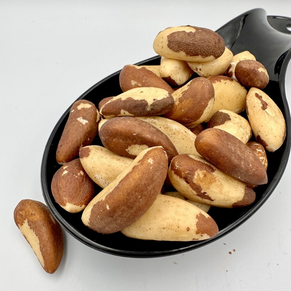 Brazil Nuts - Raw Brazilian Nuts - Bertholletia excelsa - Superior Quality Superfood