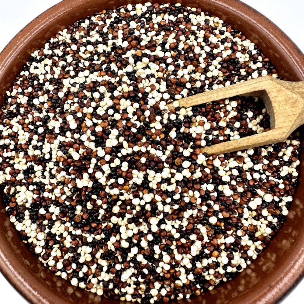 100% Organic Tricolor Quinoa Seeds - Chenopodium Quinoa - Superfood High Protein Quinoa Grain Seed {Certified Bio Product}