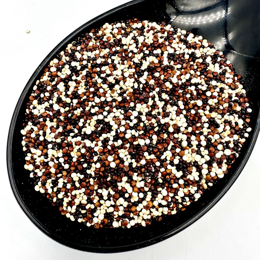 100% Organic Tricolor Quinoa Seeds - Chenopodium Quinoa - Superfood High Protein Quinoa Grain Seed {Certified Bio Product}