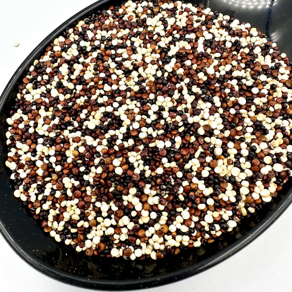 100% Organic Tricolor Quinoa Seeds - Chenopodium Quinoa - Superfood High Protein Quinoa Grain Seed {Certified Bio Product}