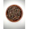 Long Pepper Spice ~ Piper Longum  ~  Superior Quality 