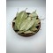 Eucalyptus Dried Leaves Loose Herbal Tea - Eucalyptus Globulus - Superior Quality