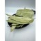 Eucalyptus Dried Leaves Loose Herbal Tea - Eucalyptus Globulus - Superior Quality