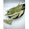 Eucalyptus Dried Leaves Loose Herbal Tea - Eucalyptus Globulus - Superior Quality