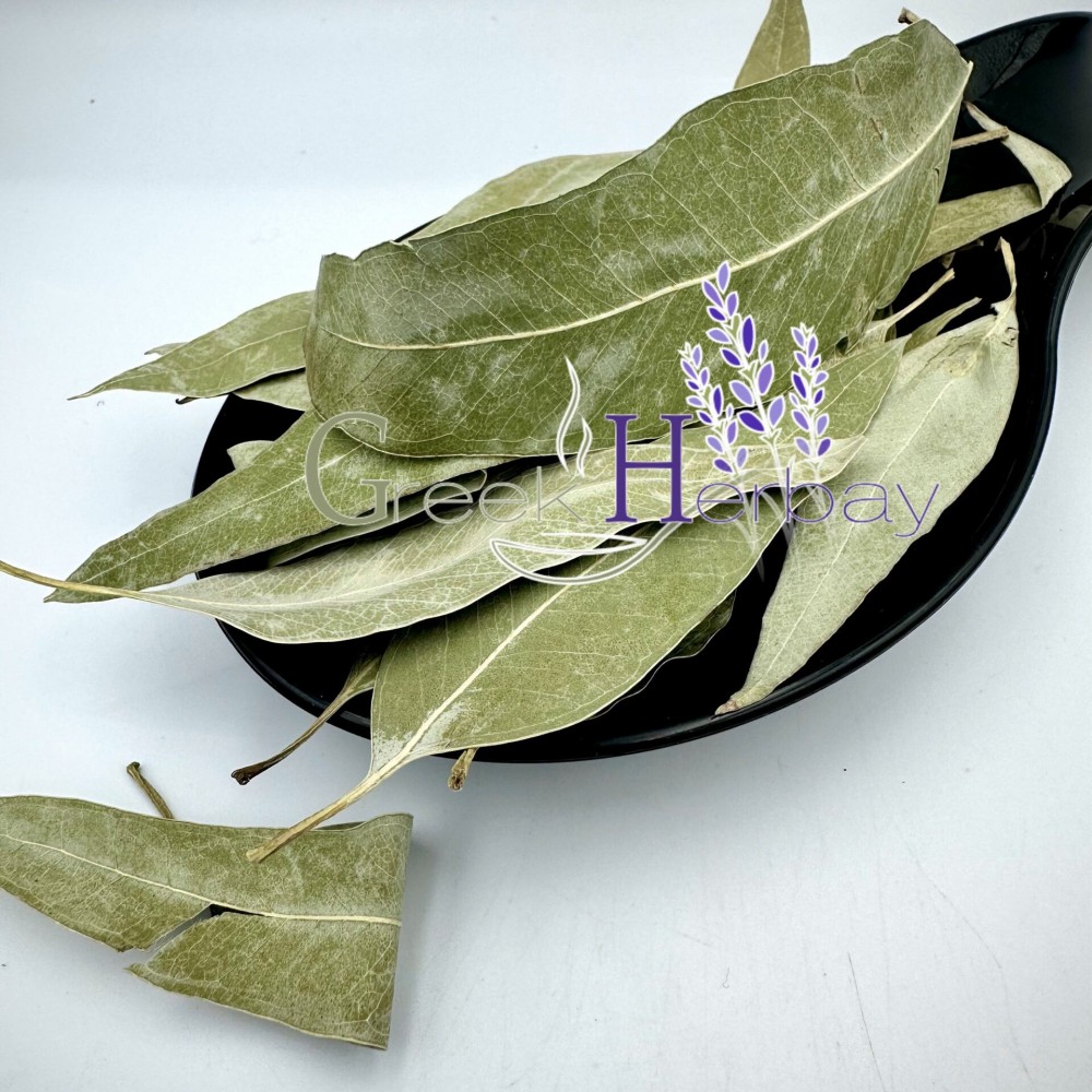 Eucalyptus Dried Leaves Loose Herbal Tea - Eucalyptus Globulus - Superior Quality